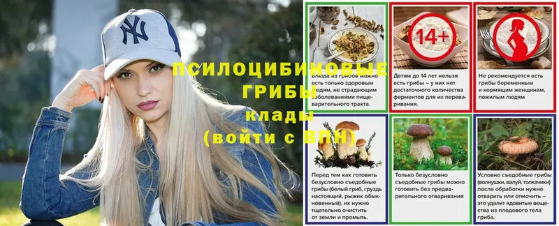 Галлюциногенные грибы MAGIC MUSHROOMS  это официальный сайт  Гусев 