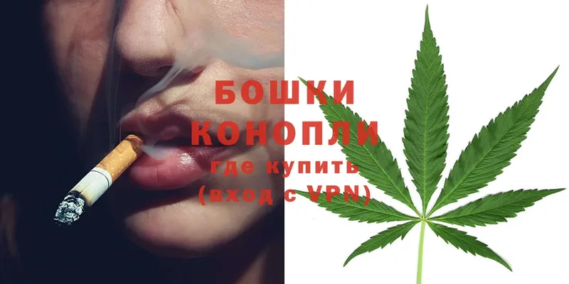 Бошки Шишки OG Kush  купить наркотик  Гусев 